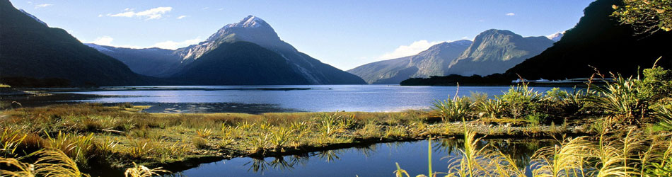 New Zealand Holiday Accommodation and Long Term Rentals