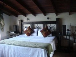 Bed and Breakfasts to rent in San Jose, Central Valley, Costa Rica