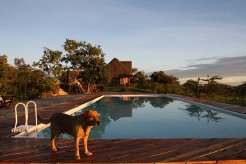 Private Game Reserves to rent in Campi ya Kanzi, Amboseli/Tsavo, Kenya