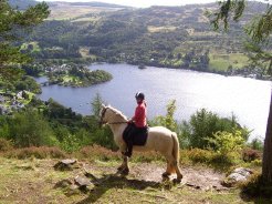 Self Catering to rent in Aberfeldy, Peerthshire, Scotland